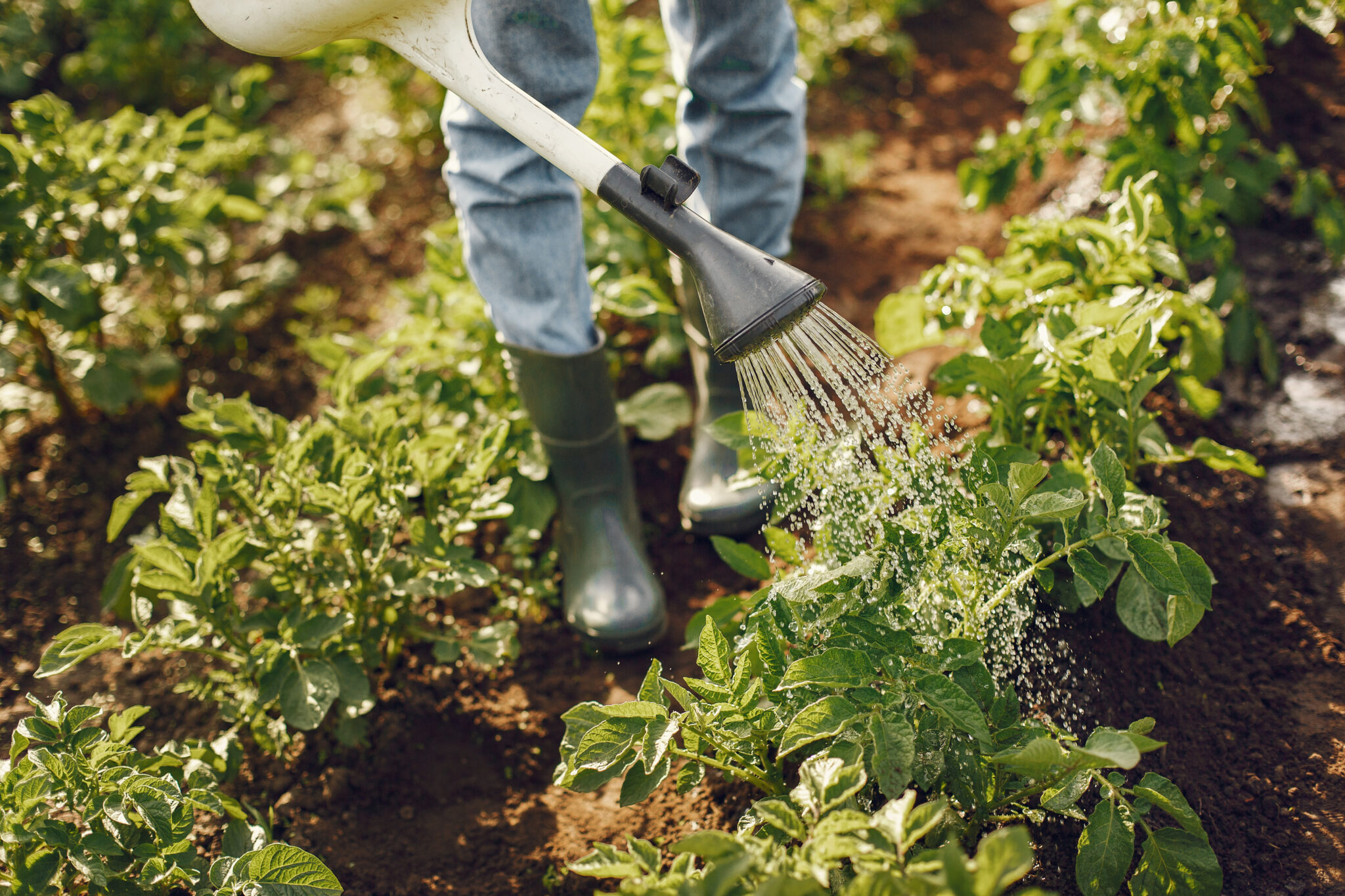 Determination Of Taxable Income Derived From Farming Fincor